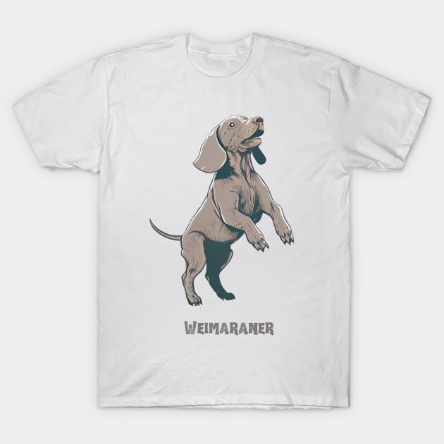 Weimaraner shirt top